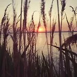 Апартаменты Schuhsterhus Am Bodden Bartelshagen (Vorpommern-Rugen)