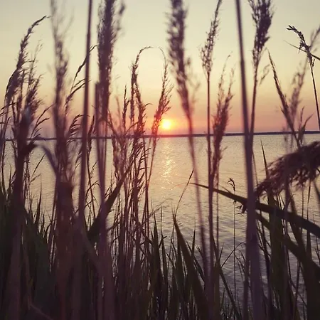 公寓 Schuhsterhus Am Bodden Bartelshagen (Vorpommern-Rugen)